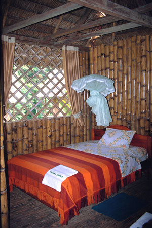 bed yarina